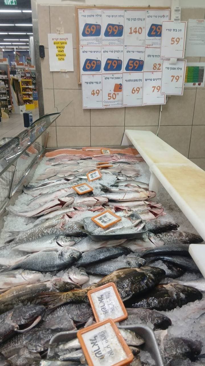 פילה סלמון טרי