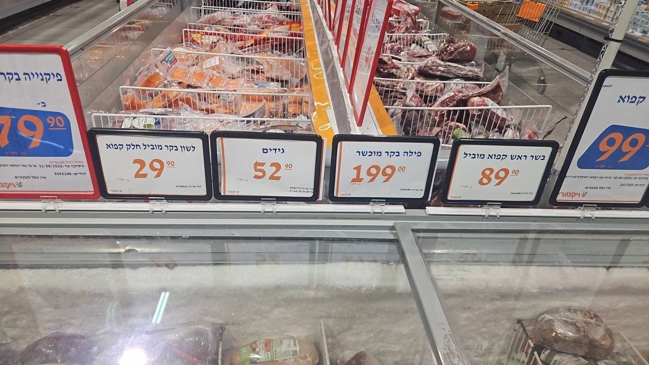 פילה בקר מוכשר
