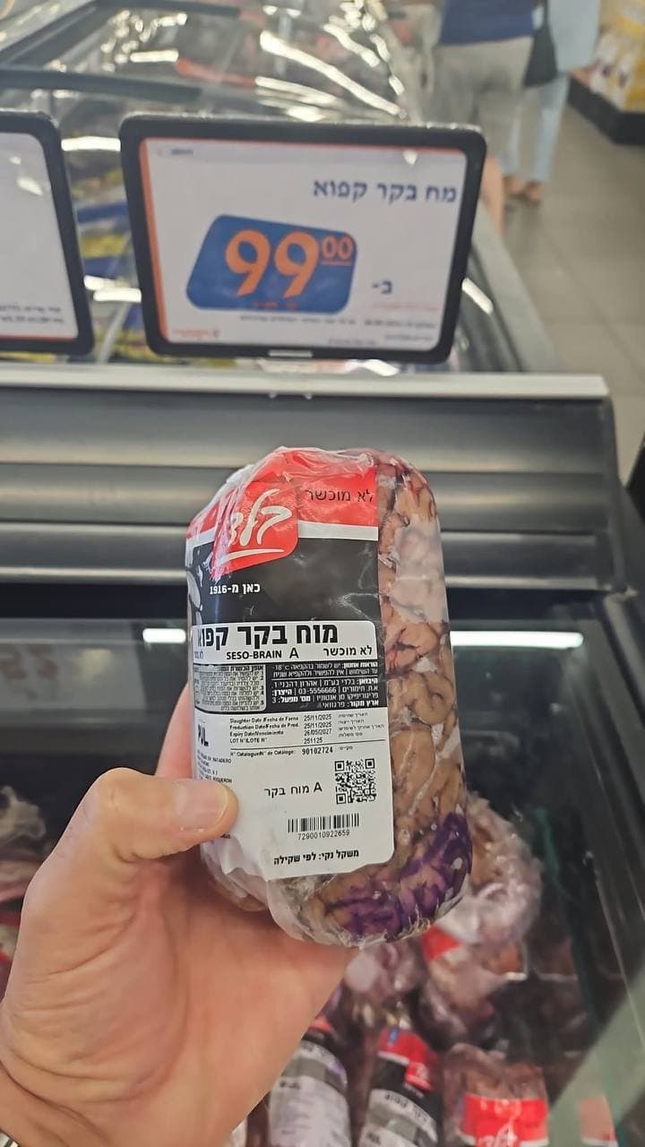 מוח בקר קפוא
