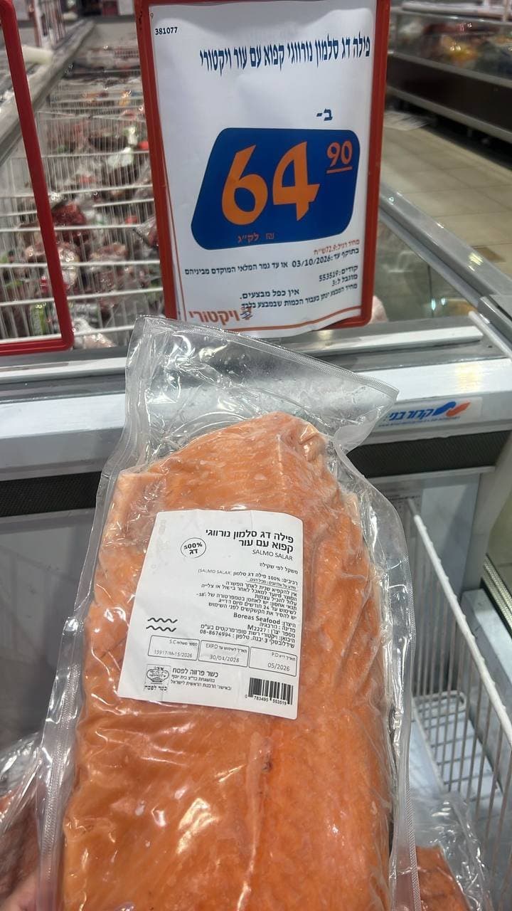 פילה דג סלמון נורווגי קפוא עם עור
