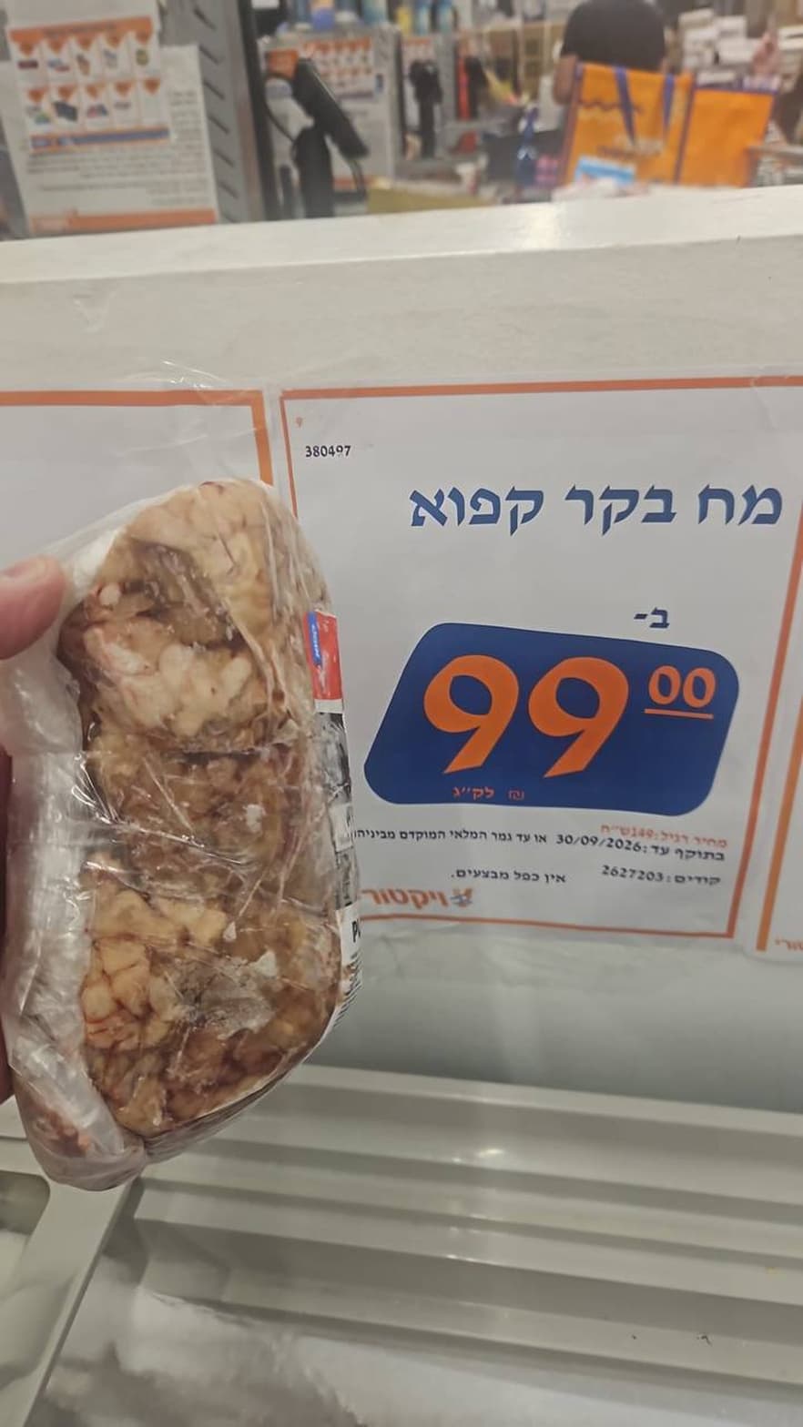 מח בקר קפוא