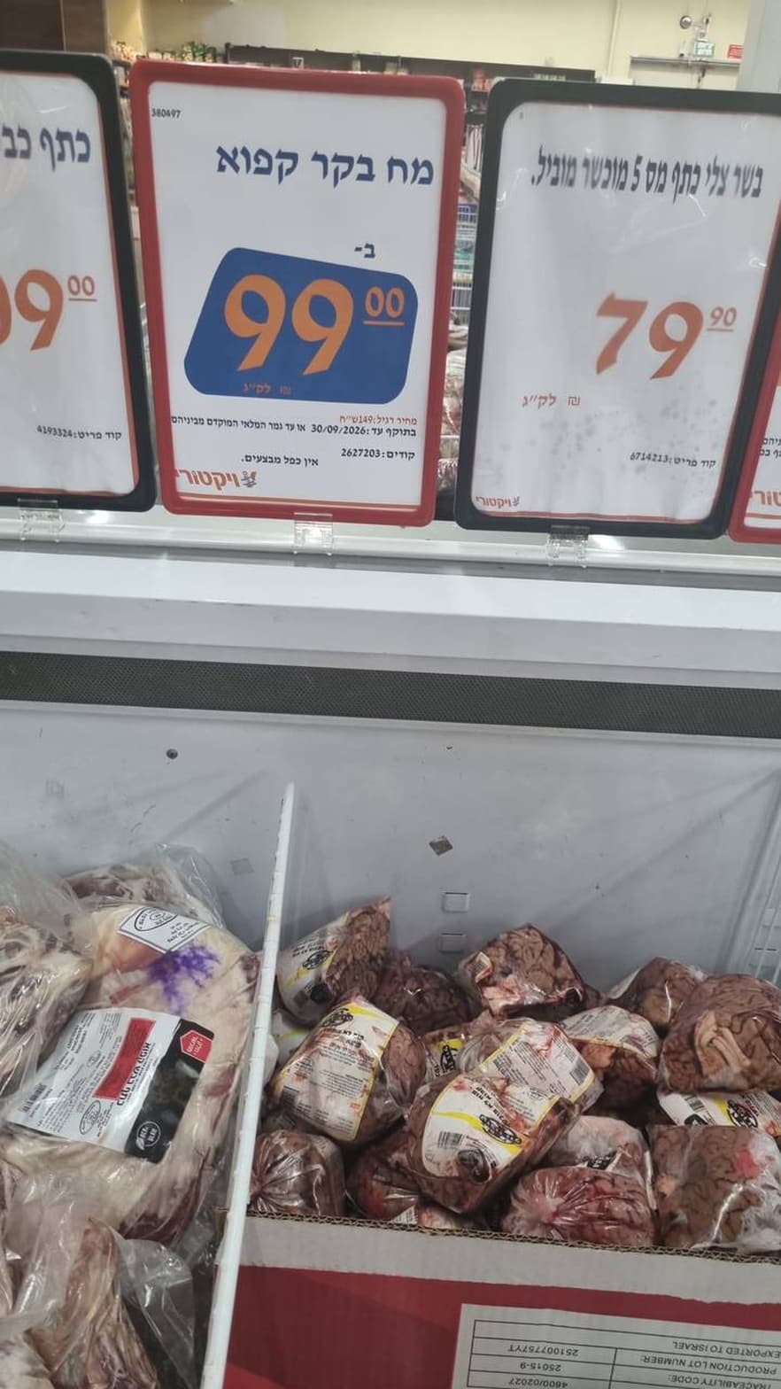 מח בקר קפוא