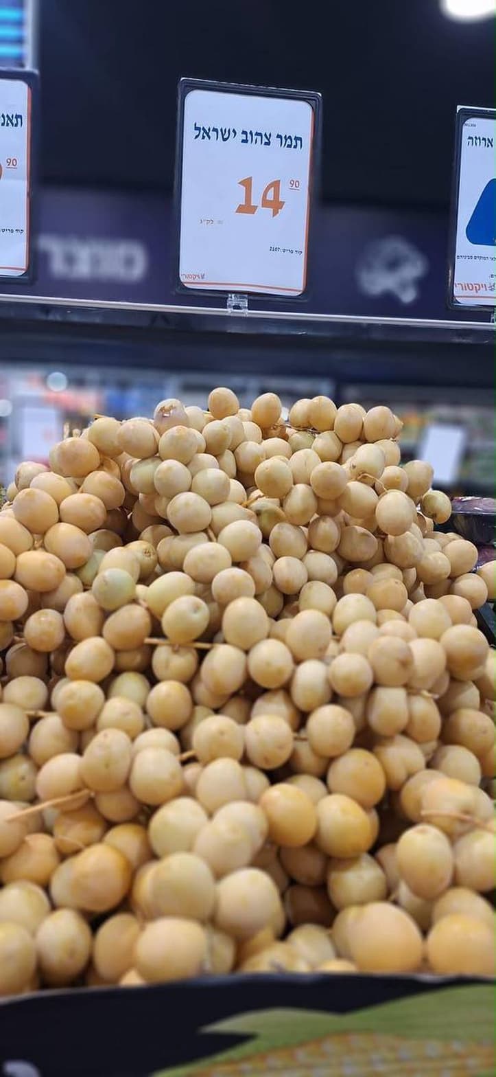 תמר צהוב ישראל