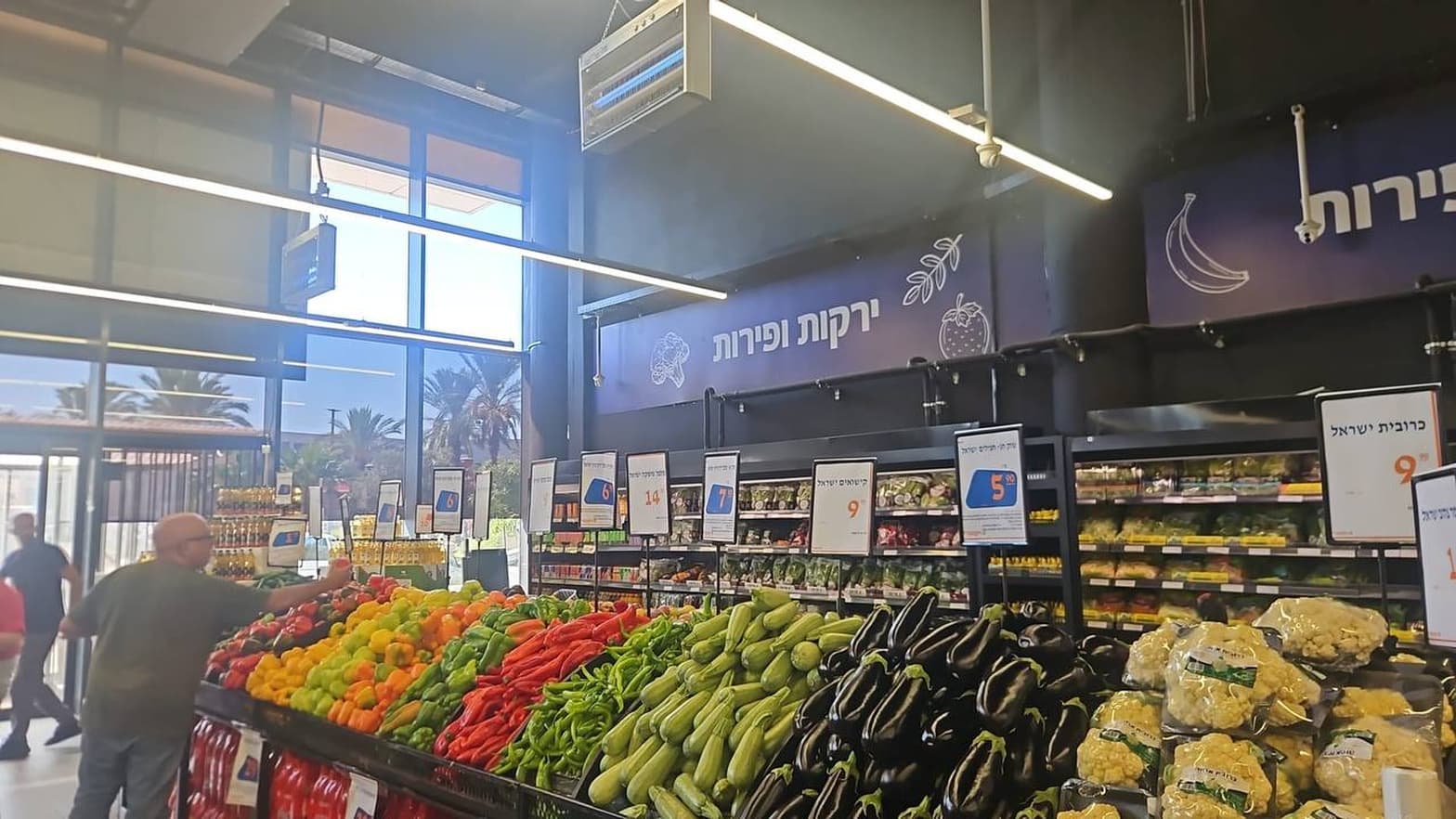 כרובית ישראל