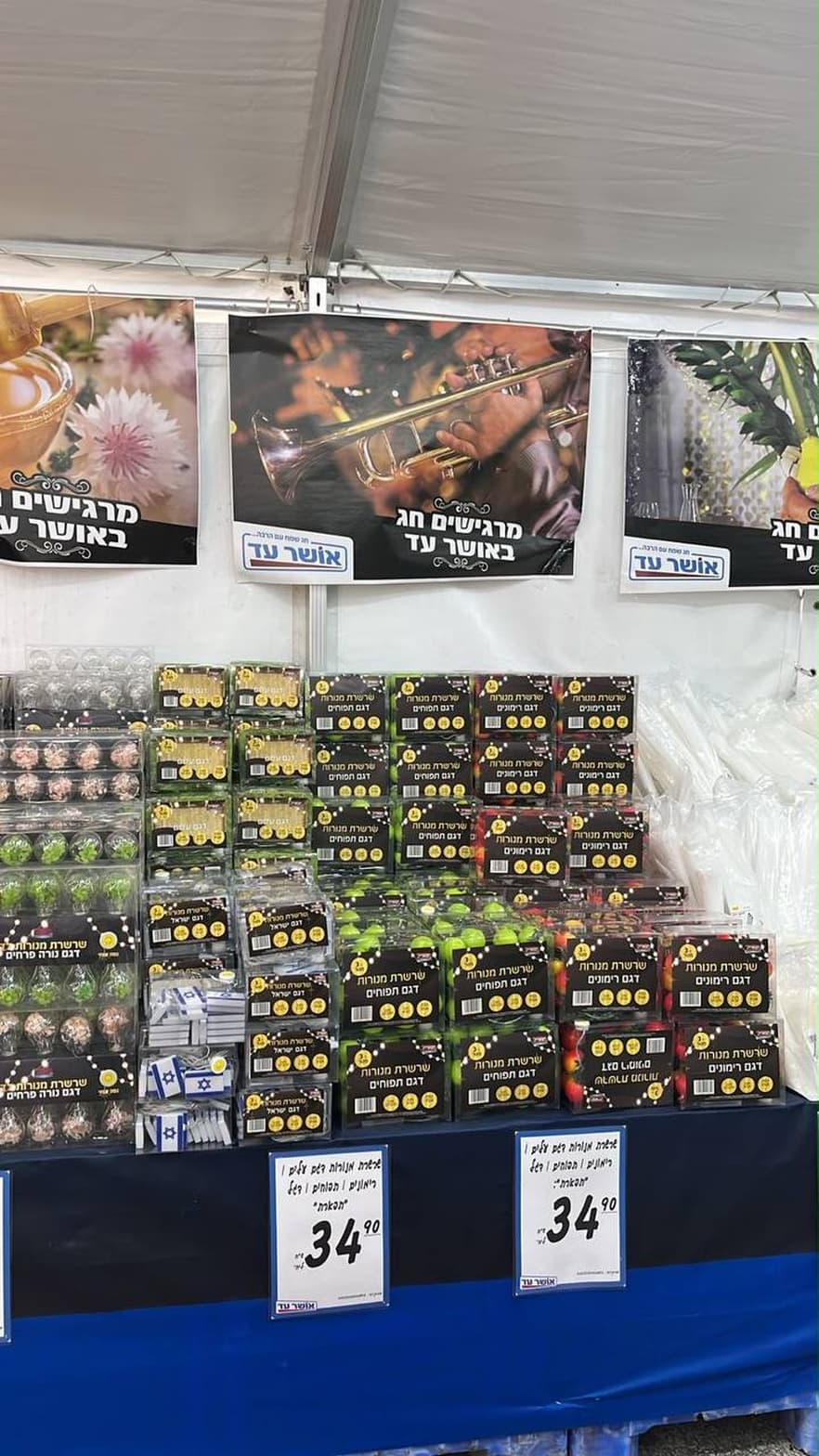 שרשרת תאורה לסוכה 10 מטר