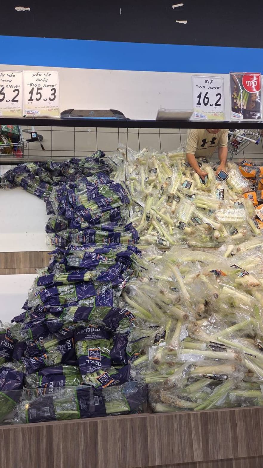 Leek